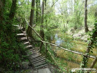 Senda de los Pescadores-Cuellar;la cabrera madrid ruta del agua el monasterio de piedra